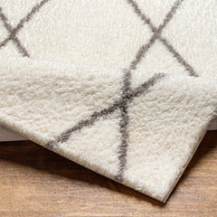 Maximiliano Area Rug - Ornate Home
