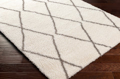 Maximiliano Area Rug - Ornate Home