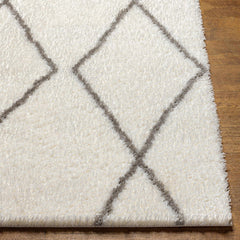 Maximiliano Area Rug - Ornate Home