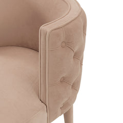 Maya Dining Chair in Nude (set of 2) - Ornate Home