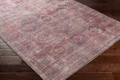 Mayantoc Washable Area Rug - Clearance - Ornate Home