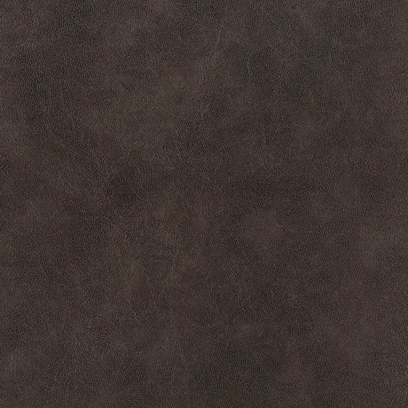 Mayer Blue & Brown Side Chair (Set of 2) - Ornate Home