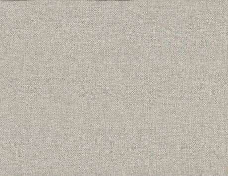 Mckewen Pewter Eastern King Platform Bed - Ornate Home