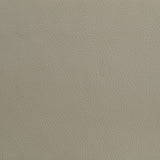 Medley Tan Genuine Leather Queen Panel Platform Bed - Ornate Home