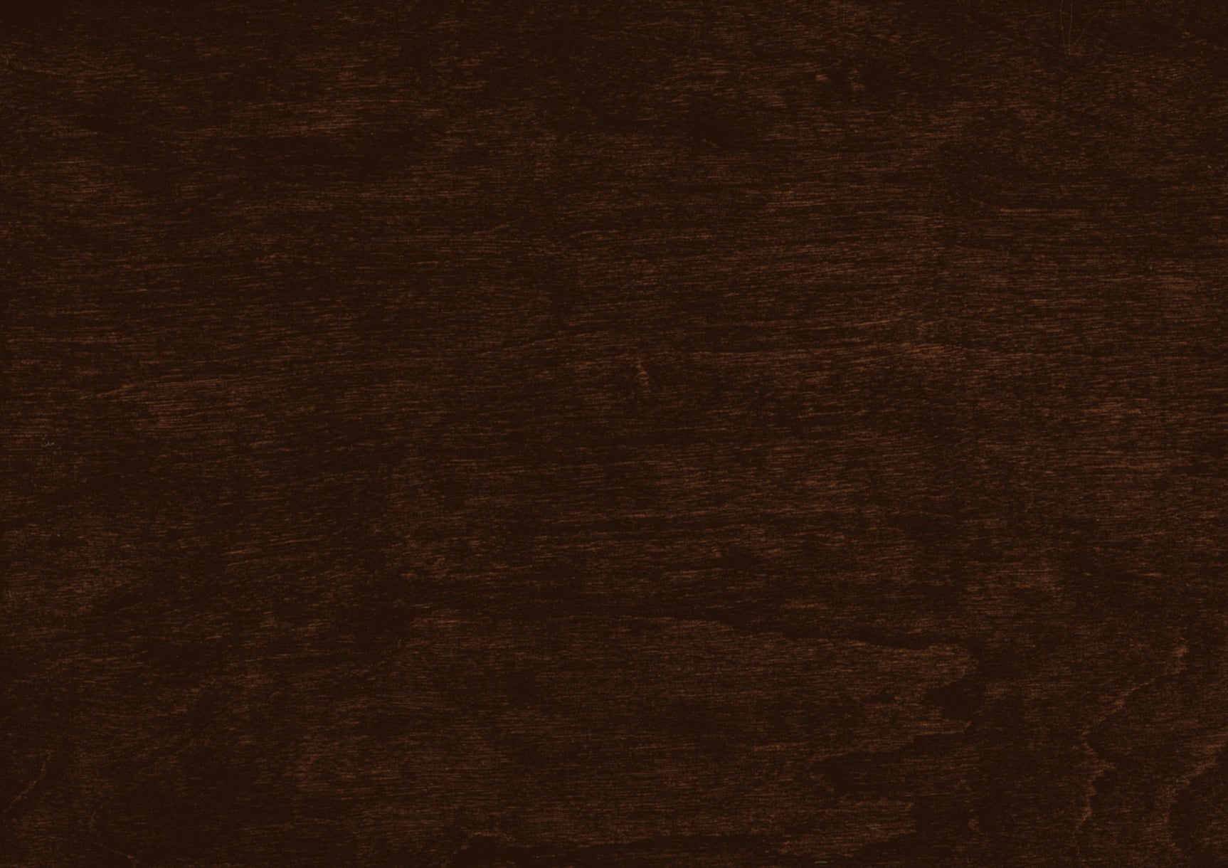 Meghan Espresso Twin Lounge Storage Bed - Ornate Home