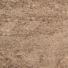 Melfort Brown Area Rug - Ornate Home