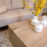 Merwin Light Warm Wash Coffee Table - Ornate Home