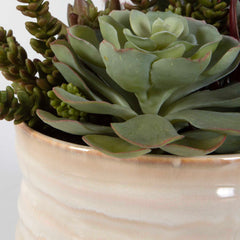 Mesa Succulent Green Accent - Ornate Home