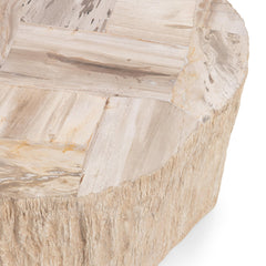 Messi Coastal Birch Coffee Table - Ornate Home
