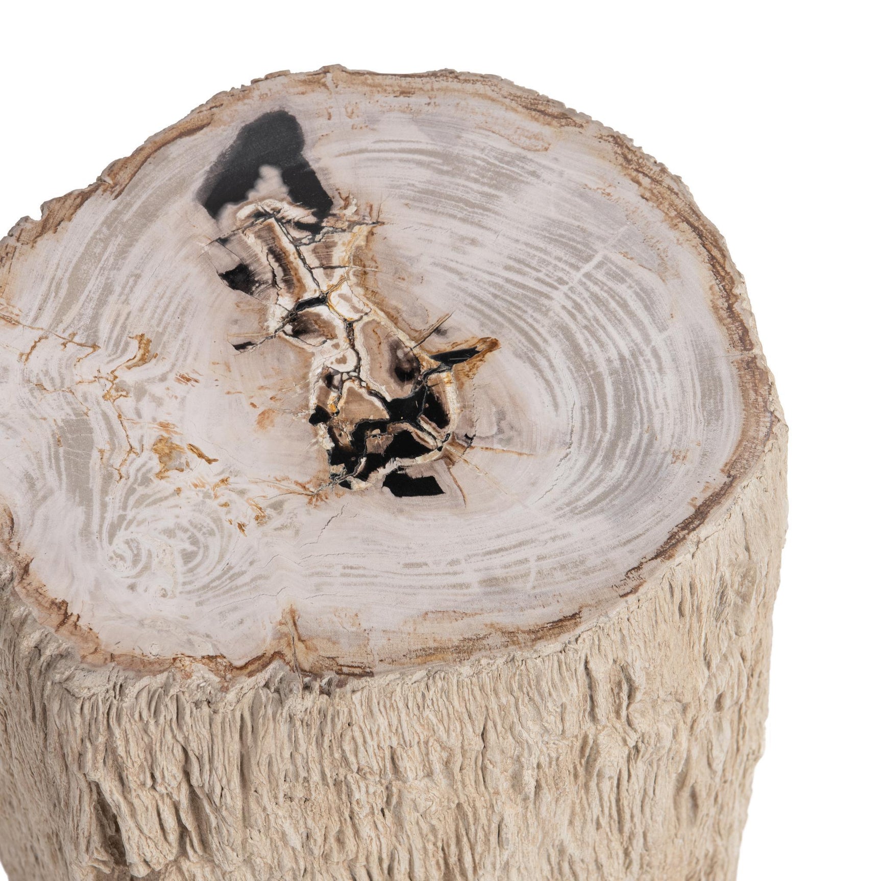 Messi Coastal Birch Table - Ornate Home