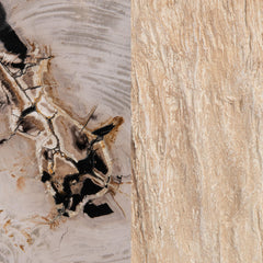 Messi Coastal Birch Table - Ornate Home