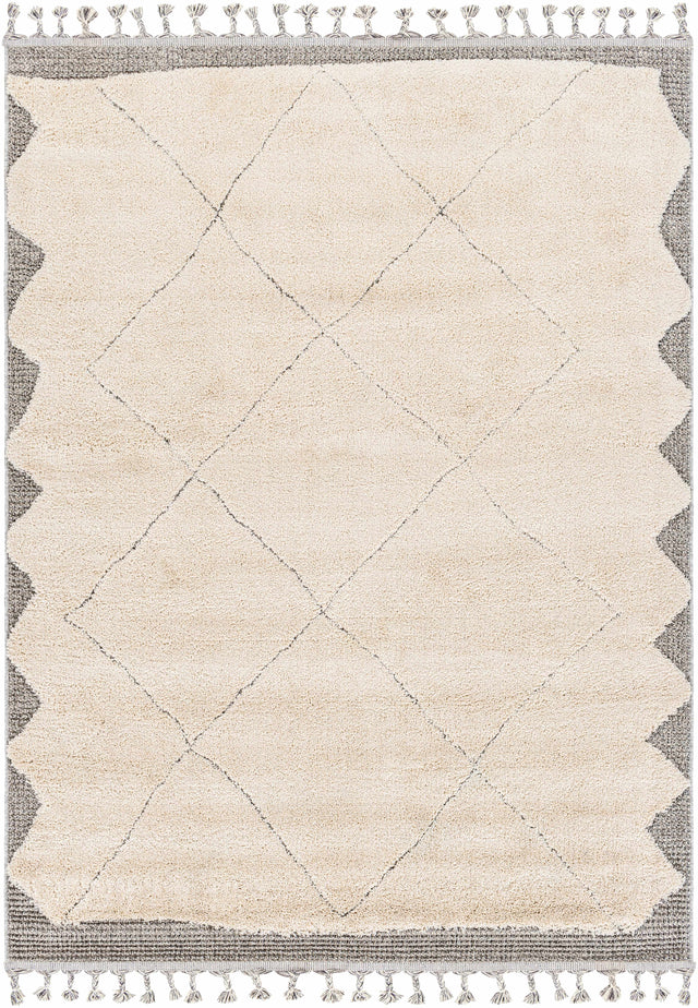 Metzger Area Rug - Clearance - Ornate Home