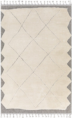 Metzger Area Rug - Clearance - Ornate Home