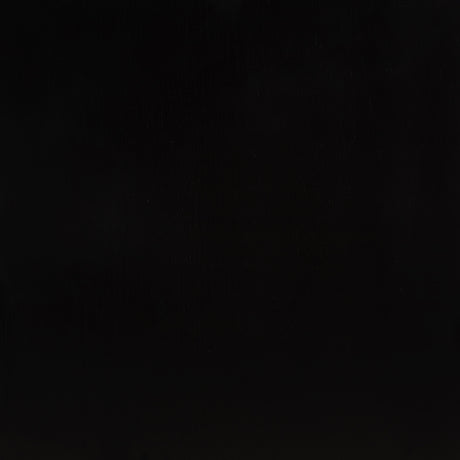 Middleton Black Solid Wood Dining Side Chair (Set of 2) - Ornate Home