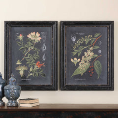 Midnight Botanicals Multicolor Wall Art (Set of 2) - Ornate Home
