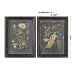 Midnight Botanicals Multicolor Wall Art (Set of 2) - Ornate Home