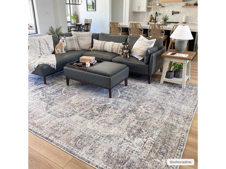 Mignon Washable Area Rug - Ornate Home