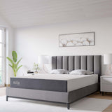Mila White 10" Queen Mattress - Ornate Home