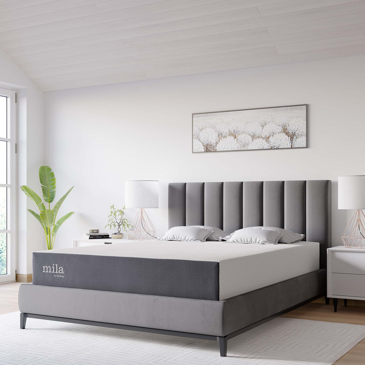 Mila White 10" Queen Mattress - Ornate Home