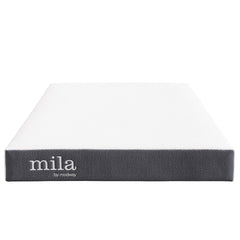 Mila White 6" Foam Twin Mattress (Set of 2) - Ornate Home