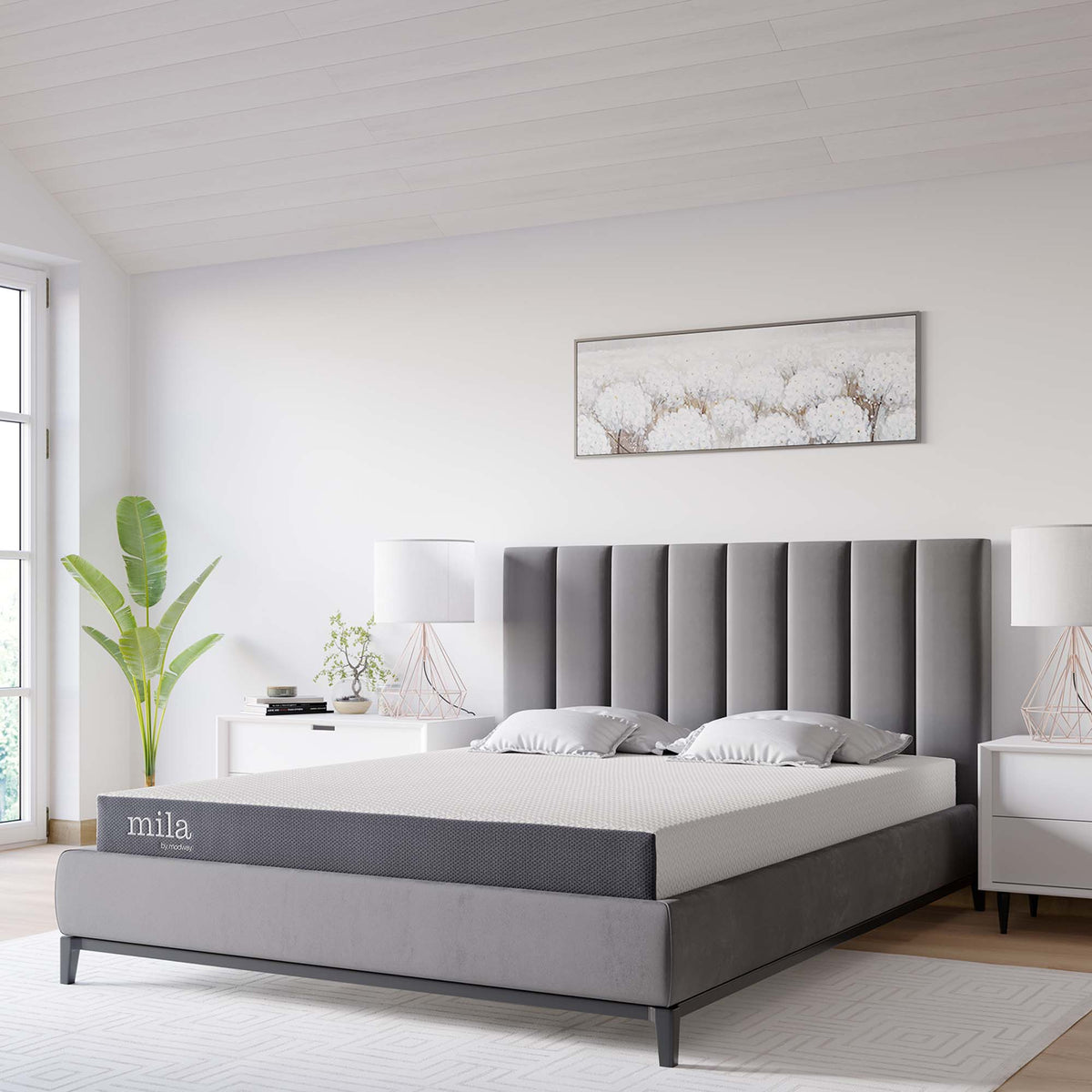 Mila White 6" Queen Mattress - Ornate Home