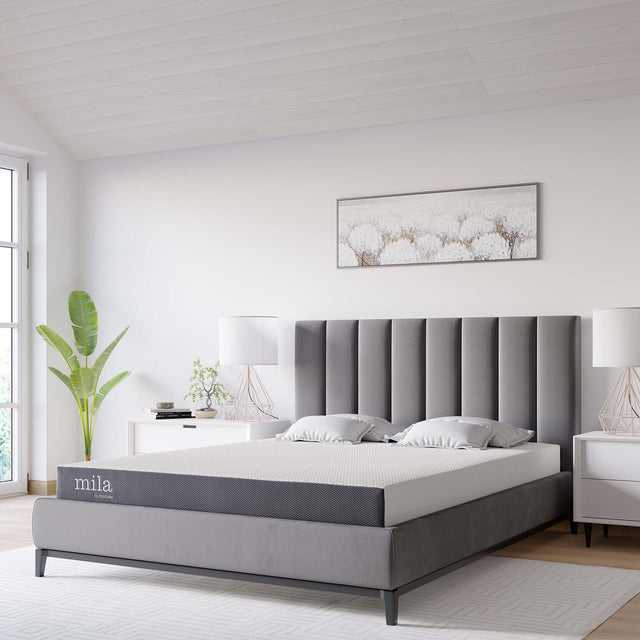Mila White 6" Queen Mattress - Ornate Home