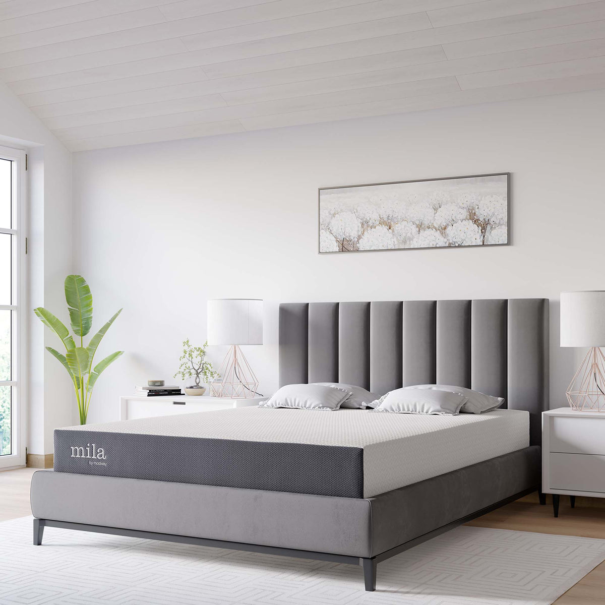 Mila White 8" King Mattress - Ornate Home