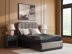 Millennium 2.0 Hybrid 12 Inch Black Twin XL Mattress - Ornate Home