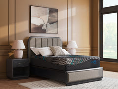 Millennium 2.0 Hybrid 14 Inch Black King Mattress - Ornate Home