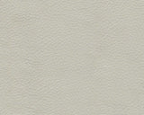 Mindanao Coconut Power Reclining Living Room Set / 2pc - Ornate Home