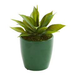 Mini Agaves Artificial Plant in Green Planter (Set of 3) - Ornate Home