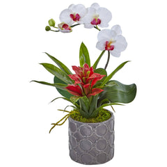 Mini Phalaenopsis Orchid and Bromeliad in Gray Vase - Ornate Home
