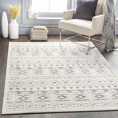 Mirani 3D Outdoor Area Rug - Clearance - Ornate Home
