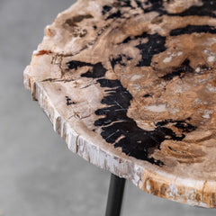 Mircea Black/Woodtone Petrified Wood Accent Table - Ornate Home