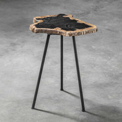 Mircea Black/Woodtone Petrified Wood Accent Table - Ornate Home