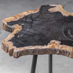 Mircea Black/Woodtone Petrified Wood Accent Table - Ornate Home