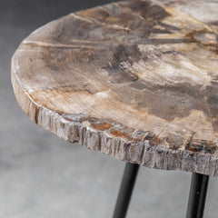 Mircea Black/Woodtone Petrified Wood Accent Table - Ornate Home
