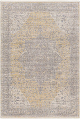 Misa Mustard & Gray Area Rug - Clearance - Ornate Home