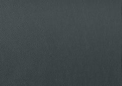 Mischa Dark Gray Leather Loveseat - Ornate Home