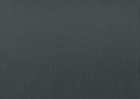 Mischa Dark Gray Leather Loveseat - Ornate Home