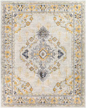 Mistley Area Rug - Ornate Home
