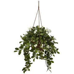 Mixed Stephanotis Hanging Basket - Ornate Home