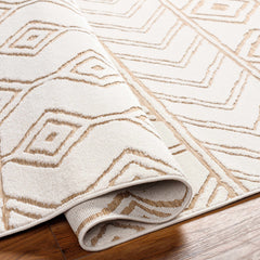 Mocho 3D Outdoor Area Rug - Clearance - Ornate Home