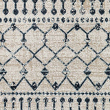 Modderfontein Washable Area Rug - Clearance - Ornate Home