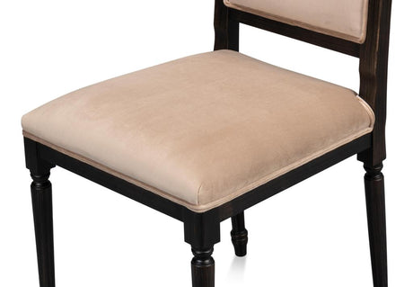 Modern Classic Seating Black Square Back Side Chair (Set of 2) - Ornate Home