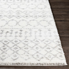 Monarch Area Rug - Ornate Home