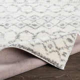 Monarch Area Rug - Ornate Home