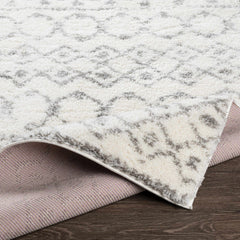 Monarch Area Rug - Ornate Home