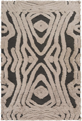Money Area Carpet - Clearance - Ornate Home