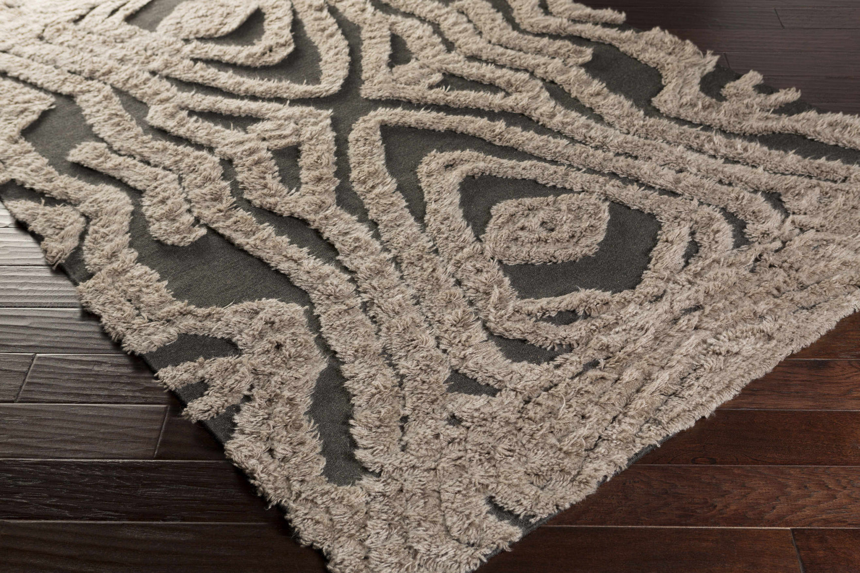 Money Area Carpet - Clearance - Ornate Home